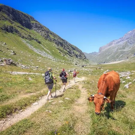 Hara-kiri, Superbe Avec Terrasse Vue Montagne * La Plagne