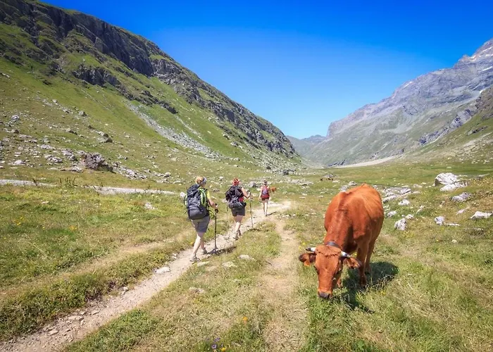 Hara-kiri, Superbe Avec Terrasse Vue Montagne * La Plagne